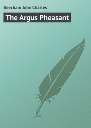 бесплатно читать книгу The Argus Pheasant автора John Beecham