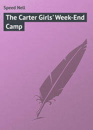 бесплатно читать книгу The Carter Girls' Week-End Camp автора Nell Speed
