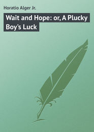 бесплатно читать книгу Wait and Hope: or, A Plucky Boy's Luck автора Horatio Alger