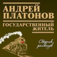 бесплатно читать книгу Государственный житель автора Андрей Платонов