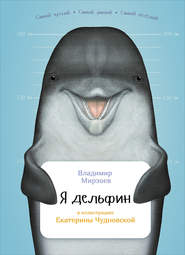 бесплатно читать книгу Я дельфин автора Владимир Мирзоев