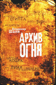 бесплатно читать книгу Архив огня автора Владимир Шали
