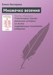 бесплатно читать книгу Множечко везения автора Елена Нестерина
