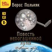 бесплатно читать книгу Повесть непогашенной луны. Избранная проза. автора Борис Пильняк