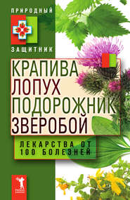 бесплатно читать книгу Крапива, лопух, подорожник, зверобой. Лекарства от 100 болезней автора Ю. Николаева