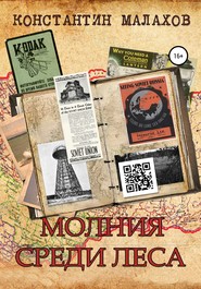бесплатно читать книгу Молния среди леса автора Константин Малахов