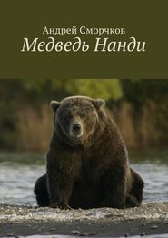бесплатно читать книгу Медведь Нанди автора Андрей Сморчков
