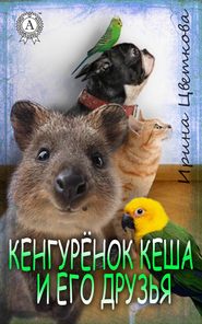 бесплатно читать книгу Кенгурёнок Кеша и его друзья автора Ирина Цветкова