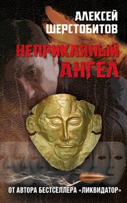 бесплатно читать книгу Неприкаяный ангел автора Алексей Шерстобитов