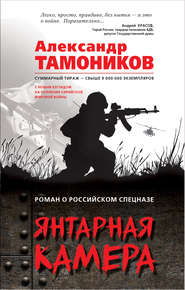 бесплатно читать книгу Янтарная камера автора Александр Тамоников