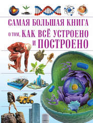 бесплатно читать книгу О том, как всё устроено и построено автора Дмитрий Кошевар
