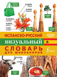 бесплатно читать книгу Испанско-русский визуальный словарь для школьников автора Литагент АСТ