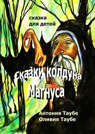 бесплатно читать книгу Сказки колдуна Магнуса автора Оливия Таубе
