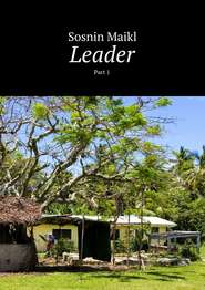 бесплатно читать книгу Leader. Part 1 автора Maikl Sosnin