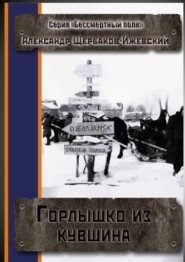 бесплатно читать книгу Горлышко из кувшина. Серия «Бессмертный полк» автора Александр Щербаков-Ижевский