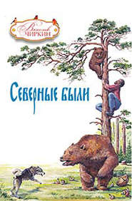 бесплатно читать книгу Северные были (сборник) автора Вячеслав Чиркин