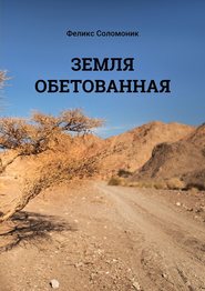 бесплатно читать книгу Земля обетованная автора Феликс Соломоник