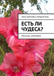 бесплатно читать книгу Есть ли чудеса? Рассказы, зарисовки автора Нина Городничева