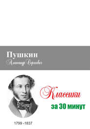 бесплатно читать книгу Пушкин за 30 минут автора Илья Мельников