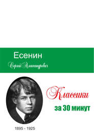бесплатно читать книгу Есенин за 30 минут автора Илья Мельников