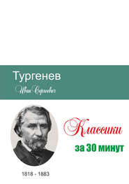 бесплатно читать книгу Тургенев за 30 минут автора Илья Мельников