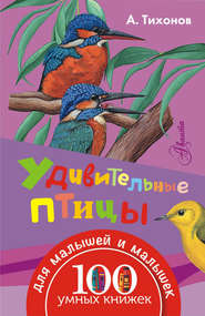 бесплатно читать книгу Удивительные птицы автора Александр Тихонов