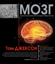 бесплатно читать книгу Мозг. Иллюстрированная история нейронауки автора Том Джексон