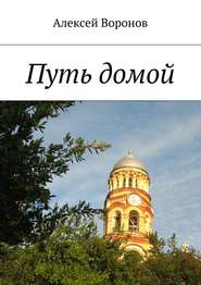 бесплатно читать книгу Путь домой автора Алексей Воронов