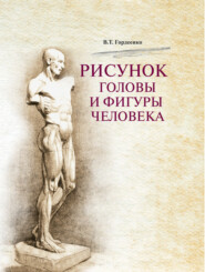 бесплатно читать книгу Рисунок головы и фигуры человека автора Владимир Гордеенко