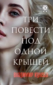 бесплатно читать книгу Три повести под одной крышей автора Владимир Кулеба