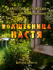 бесплатно читать книгу Волшебница Настя автора Анатолий Курчаткин