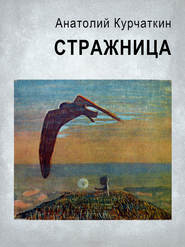 бесплатно читать книгу Стражница автора Анатолий Курчаткин