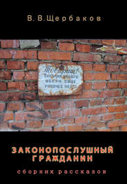 бесплатно читать книгу Законопослушный гражданин автора Владлен Щербаков