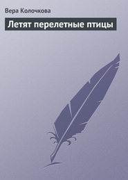 бесплатно читать книгу Летят перелетные птицы автора Вера Колочкова