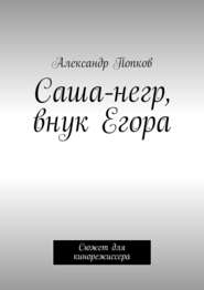 бесплатно читать книгу Саша-негр, внук Егора. Сюжет для кинорежиссера автора Александр Попков