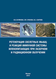 бесплатно читать книгу Регенерация скелетных мышц и реакция иммунной системы млекопитающих при лазерном и радиационном облучении автора Светлана Зубкова