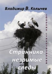 бесплатно читать книгу Странника незримые следы автора Владимир Колычев