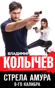 бесплатно читать книгу Стрела Амура 9-го калибра автора Владимир Колычев