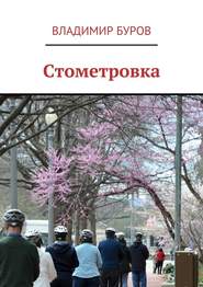 бесплатно читать книгу Стометровка автора Владимир Буров