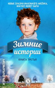 бесплатно читать книгу Зимние истории автора Игорь Фарбаржевич