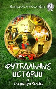 бесплатно читать книгу Футбольные истории от Владимира Кулебы автора Владимир Кулеба