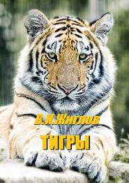 бесплатно читать книгу Тигры автора В. Жиглов