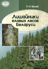 бесплатно читать книгу Лишайники еловых лесов Беларуси автора Павел Белый