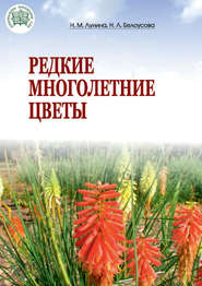 бесплатно читать книгу Редкие многолетние цветы автора Наталья Белоусова