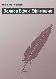 бесплатно читать книгу Волков Ефим Ефимович автора Яков Минченков