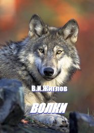 бесплатно читать книгу Волки автора В. Жиглов