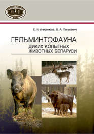 бесплатно читать книгу Гельминтофауна диких копытных животных Беларуси автора Владимир Пенькевич