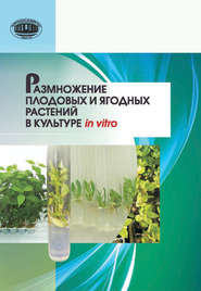бесплатно читать книгу Размножение плодовых и ягодных растений в культуре in vitro автора Наталья Кухарчик