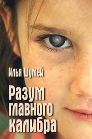 бесплатно читать книгу Разум главного калибра автора Илья Шумей