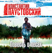 бесплатно читать книгу Повесть о лесах автора Константин Паустовский